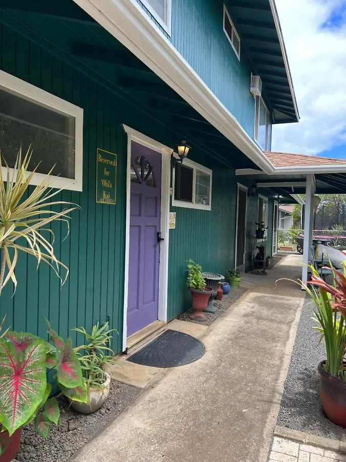 Homestay The Hale At Ohi'A Kai, Upstairs Unit, Tvncu#1355 Apartment Waipouli
